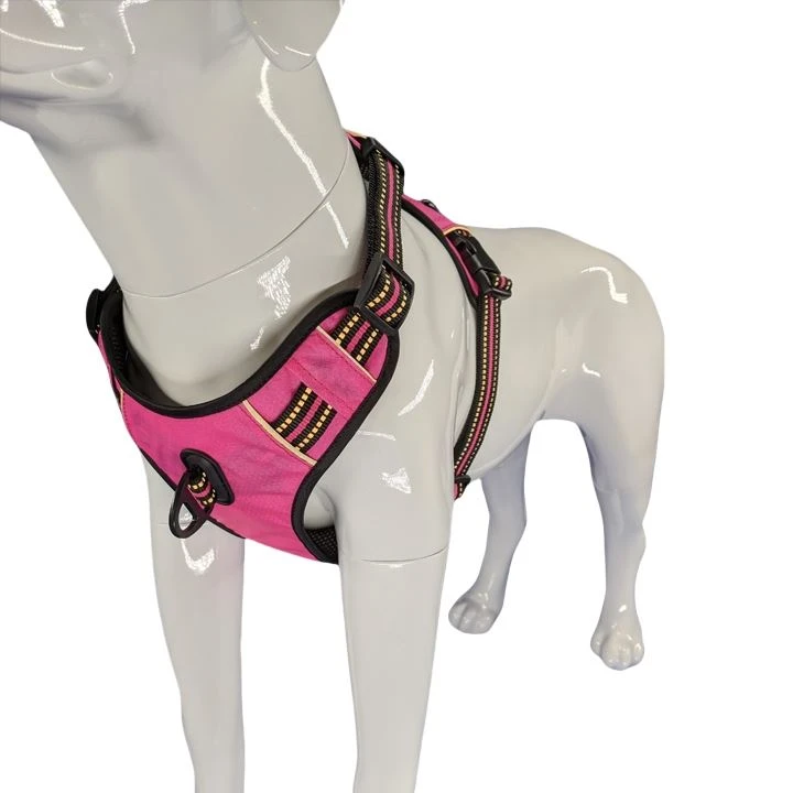 Harness with handle