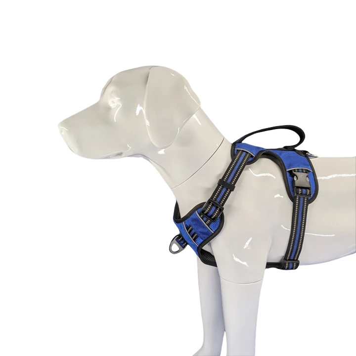 Harnais pour chien robuste