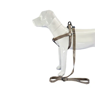 Harnais pour chien anti-évasion