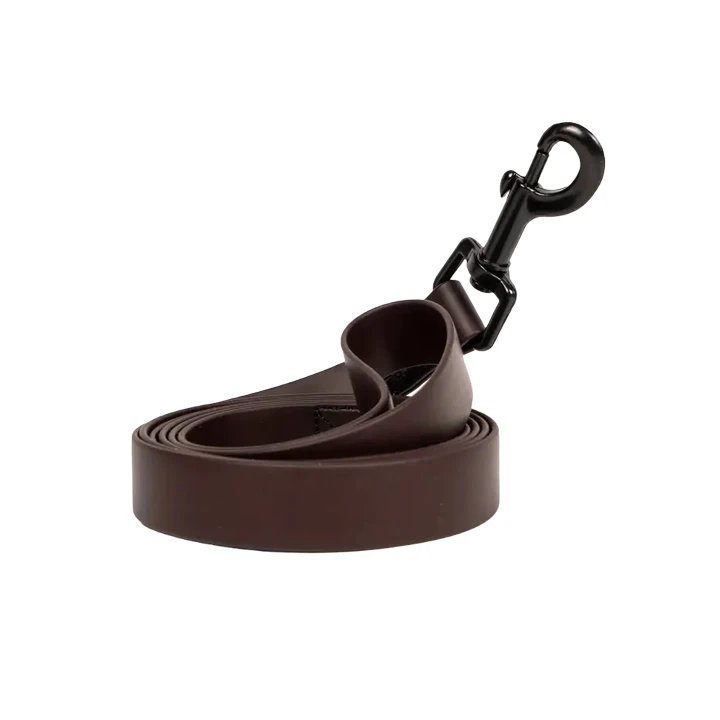 Laisse imperméable de chien de PVC